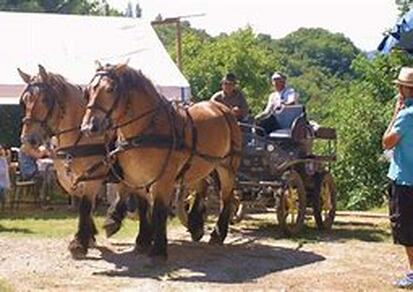 Traditionelles Fest und Flohmarkt