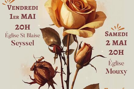 Concert Consolations