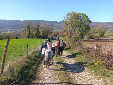 Equus Pleine Nature - randonnées équestres