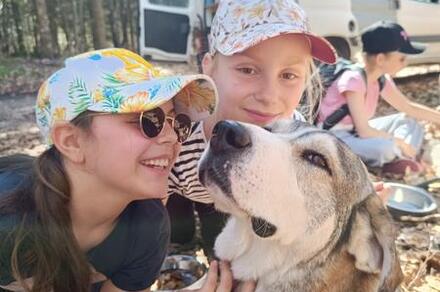 Scintiller au fil des saisons - sculpture sur bois et cani-rando