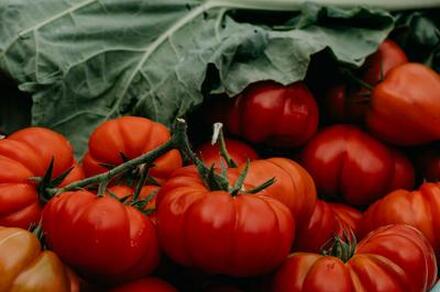 Film documentaire : Rencontres de l'alimentation durable